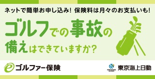東京海上 ゴルフ保険 e-ゴルフ